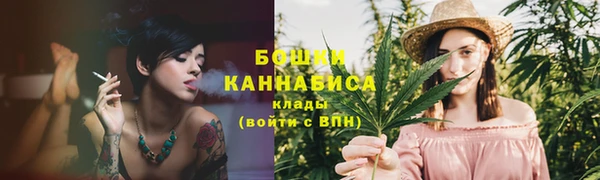 PSILOCYBIN Белокуриха