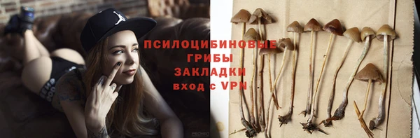 PSILOCYBIN Белокуриха