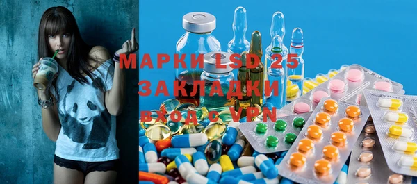 PSILOCYBIN Белокуриха