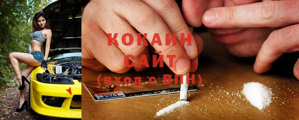 PSILOCYBIN Белокуриха