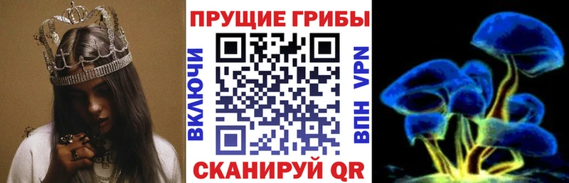 где можно купить наркотик  Моршанск  MEGA как зайти  Галлюциногенные грибы мицелий 